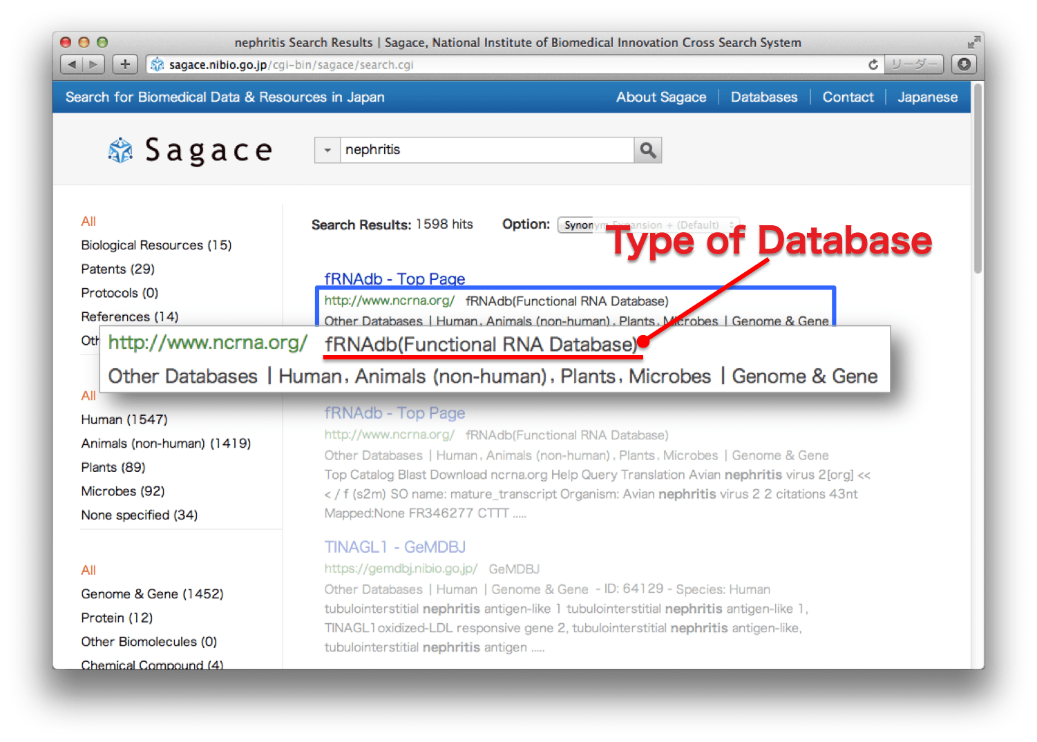 Types of Database